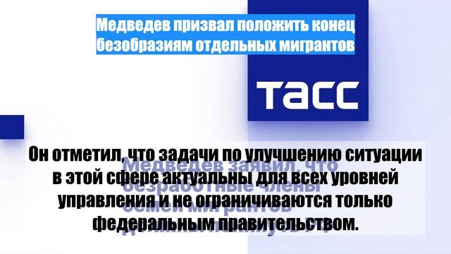 Медведев призвал положить конец безобразиям отдельных мигрантов