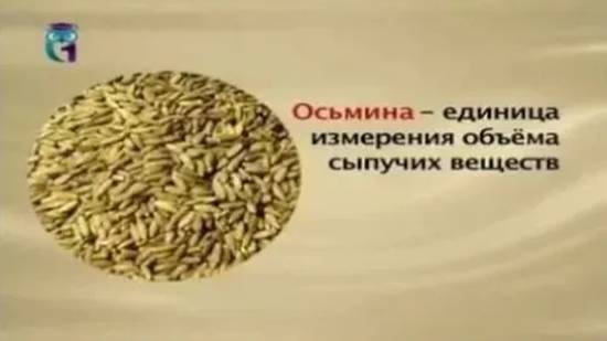 Осьмина