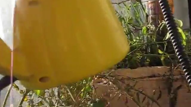 Защита винограда от милдью с помощью пара