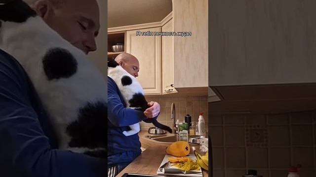 😻 мы, для них, вся жизнь…