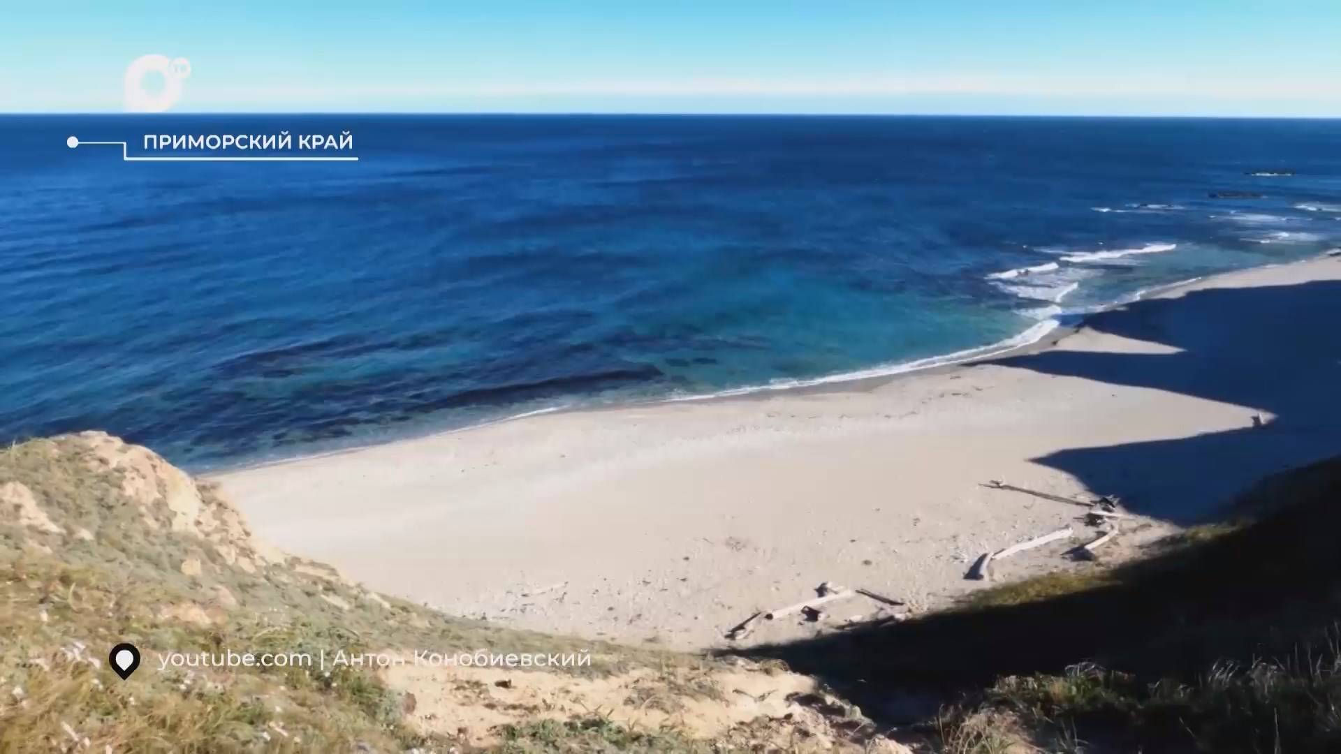 Разведка блогом / 17 дней в море / 31.10.24