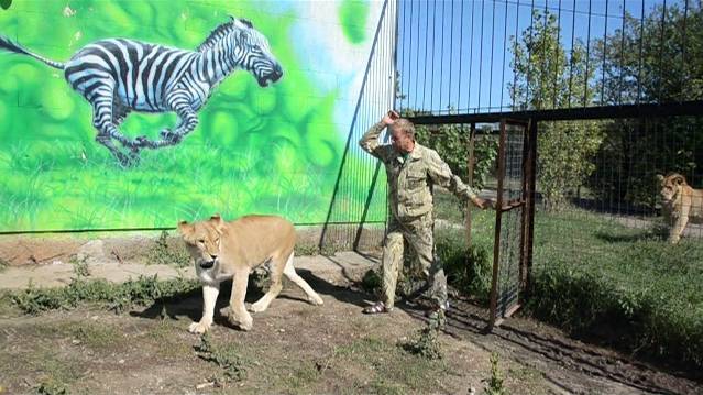 Лейла зовет ,но Филя не хочет выходить из вольера .