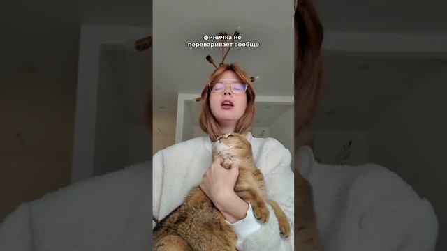 обзор на второго надо? 😅
проверим в комментариях кого тут больше: кошатников или собачников?
