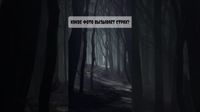 А какое фото вызвало страх у Вас?👻