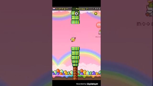 Флеппи берц