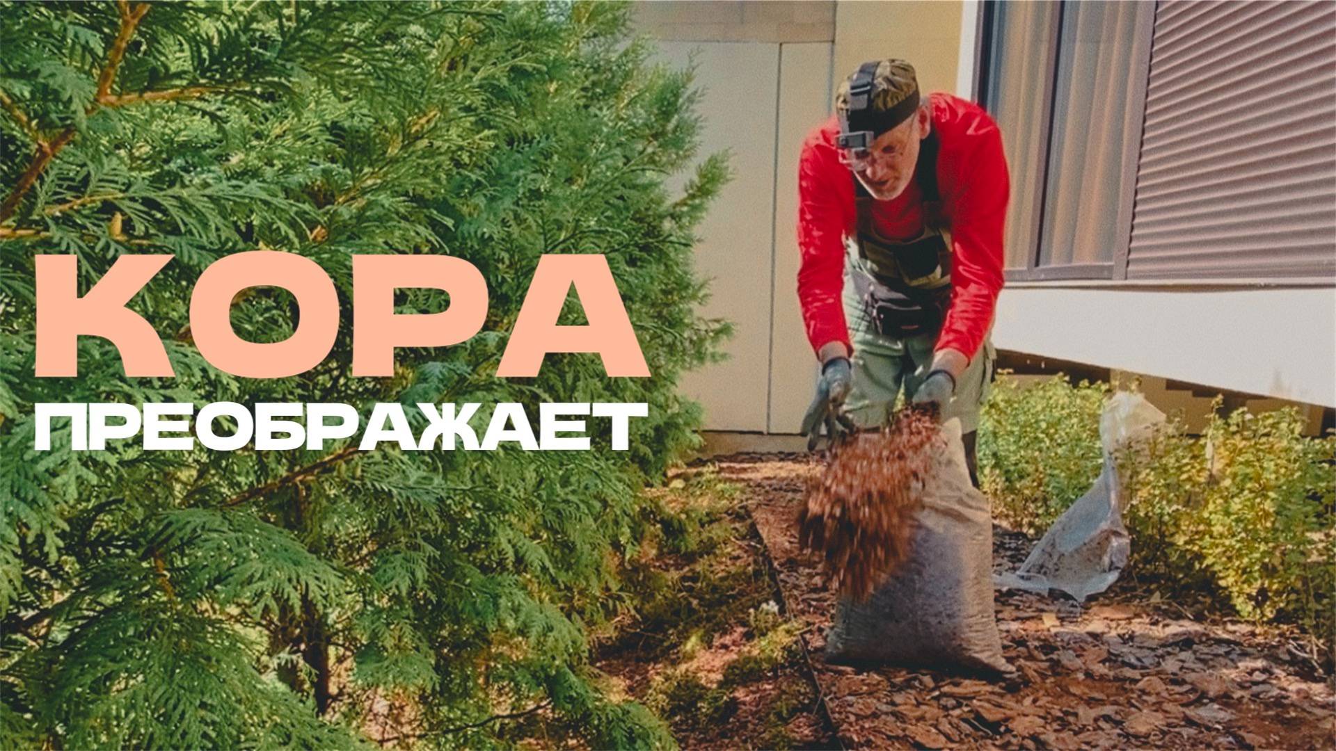 До и после. Как кора преобразила сад
