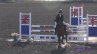 426S Lisa Sabo on WTF Doria Training 3-Day Show Jumping Galway Downs Int'l Nov. 2015