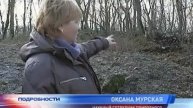 Медобори.mp4