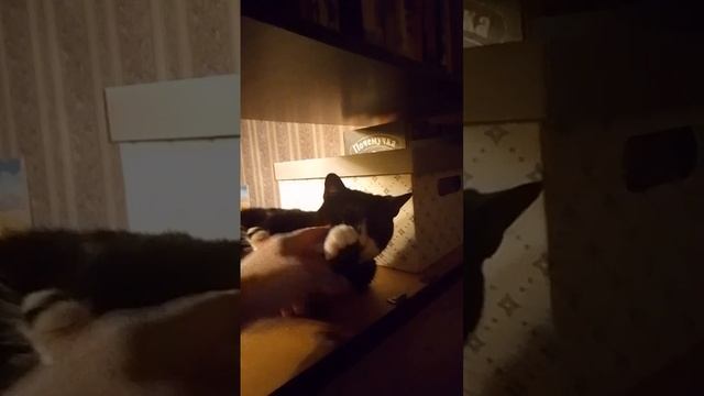 У Марса, своя полка наконец-то