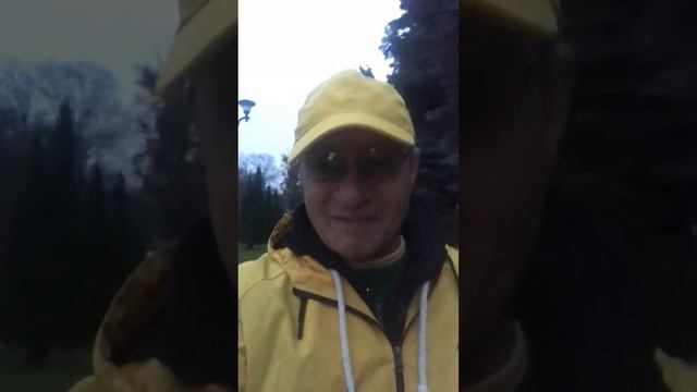 Счастье-это удовольствие, поток и смысл. Мартин Селигман