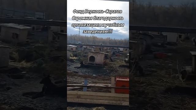 Огромная благодарность всем организациям и учебным заведениям за помощь!