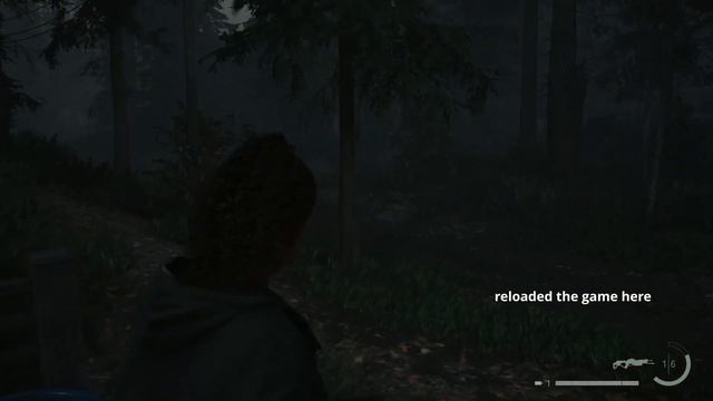 Alan Wake 2 Textures not loading properly