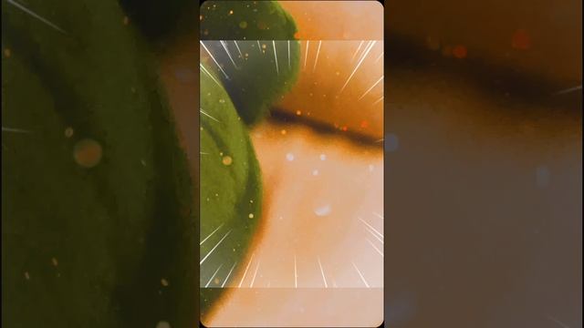 1000004697.mp4