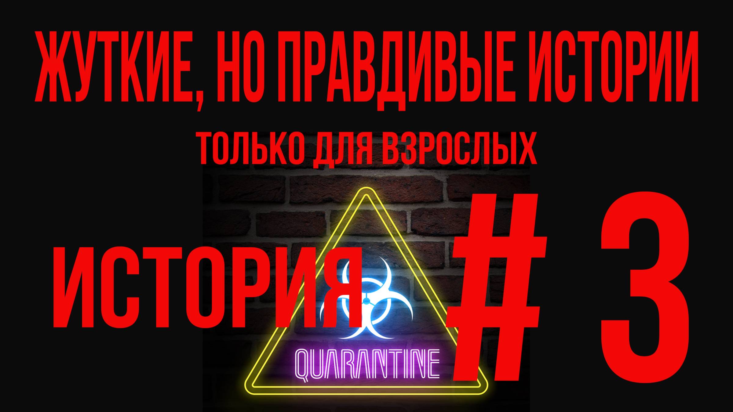 История №3 БЕЛОЧКА