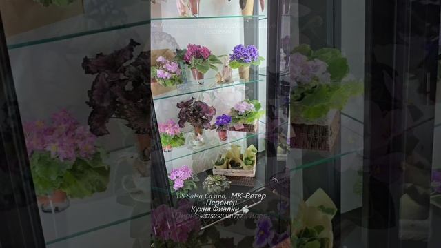 🏫Студия Кухня Фиалки 🐇 и наши прекрасные лялечки ждут Вас с "шубками" ... ведь уже почти зима!❄️