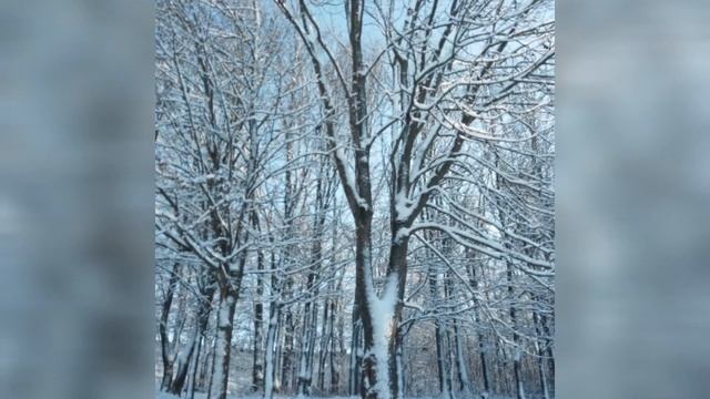 Бережімо своє здоров'я взимку