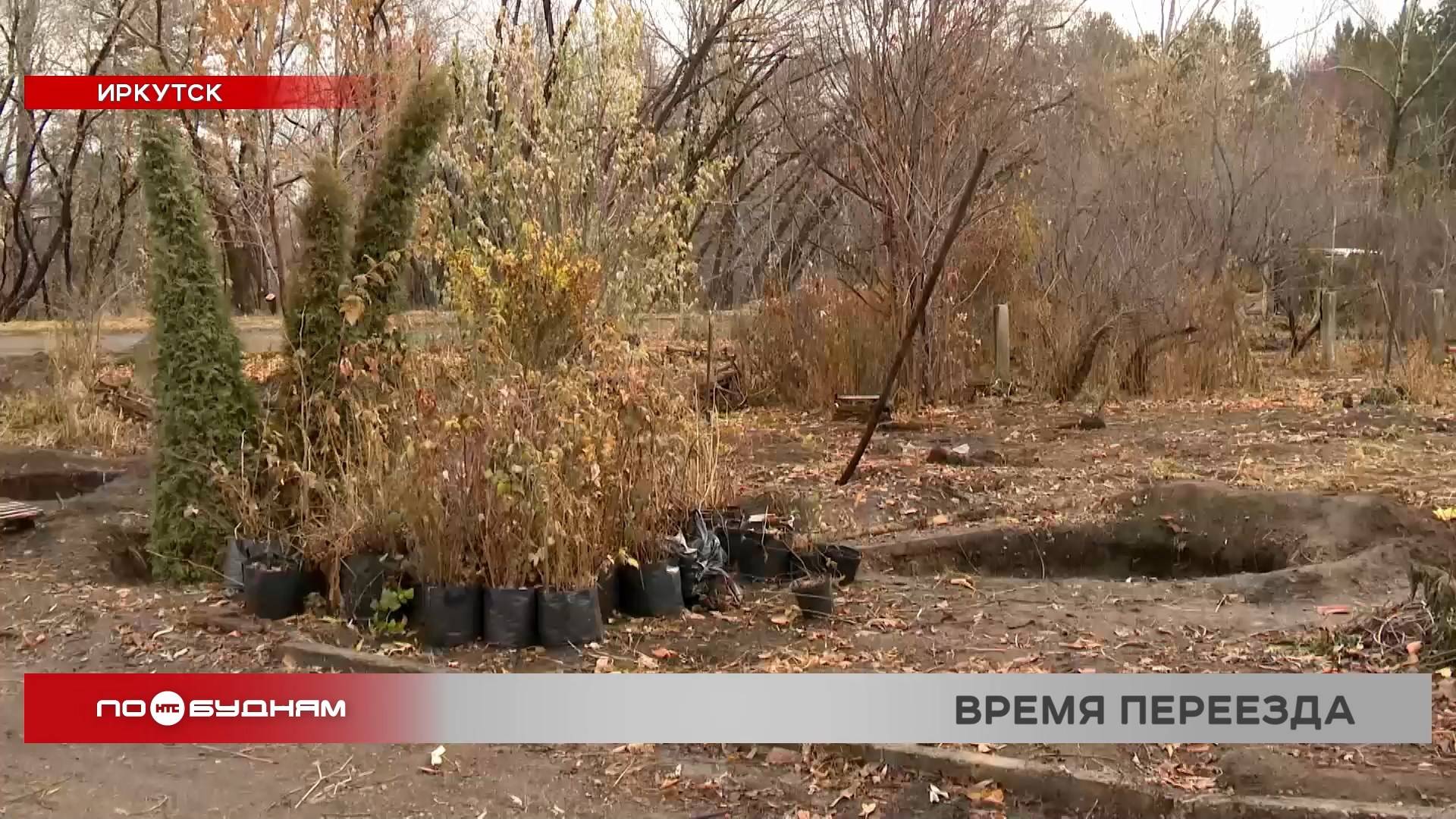 Огромные ямы появились на месте питомника плодовых растений в Иркутске