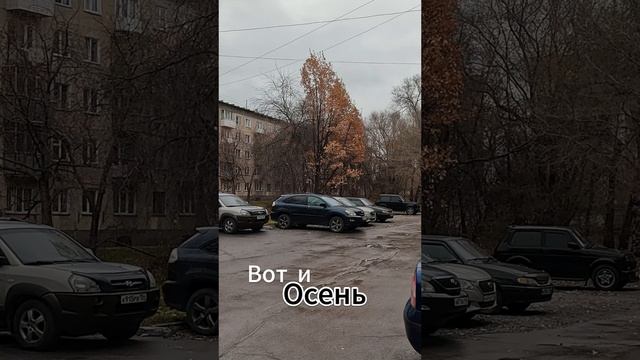 Вот и Осень