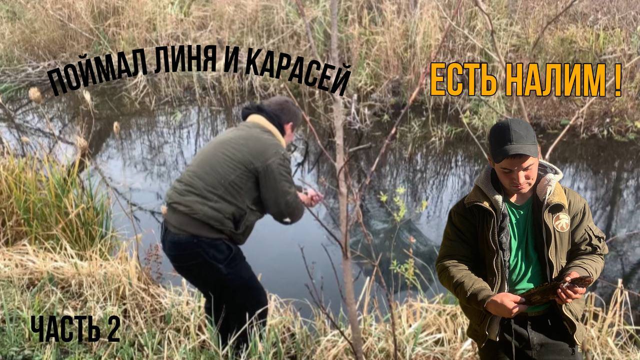 Есть налим / наловил карасей / попался линь (часть 2)
