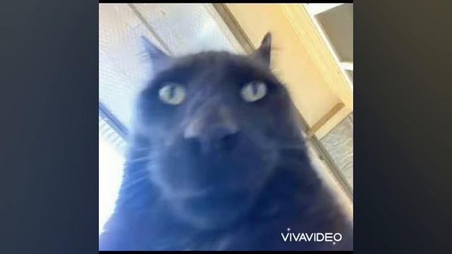 не удачный дубль из одного видео