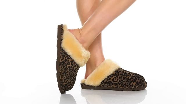 Bearpaw Loki Exotic SKU: 9592978