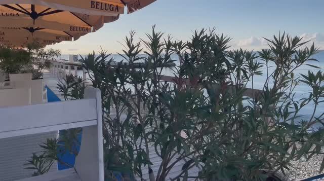 Море Сочи доброе утро ☀️