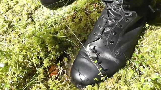 russian boots in the swamp