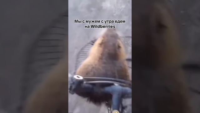 Долго думать не пришлось, прости муж🤣🤣