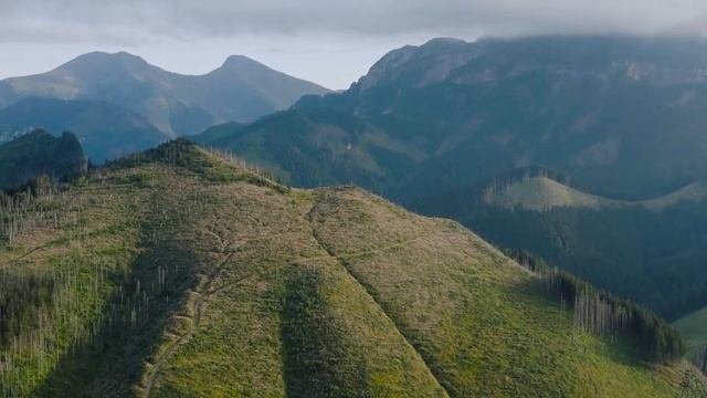 Музыка лечит сердце и сосуды 🌿 успокаивает нервную систему и освежает душу, Успокаивающая музыка