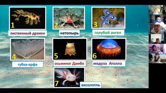 Морской квест. в онлайн-школе 