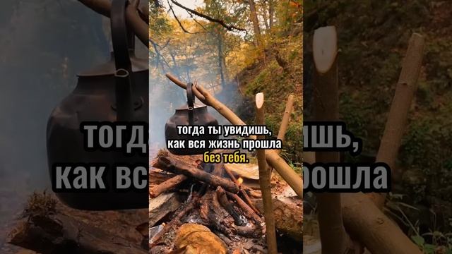 Если ты собираешься всю жизнь только наблюдать