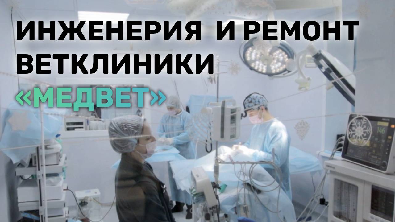 Полный комплекс инженерных и ремонтных работ для ветклиники «Медвет»