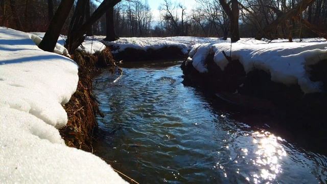 Звуки природы. Sounds of nature