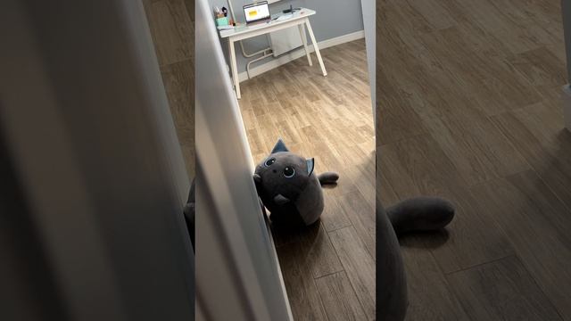 Они всё равно подкрадутся и будут обнимать тебя 🤗