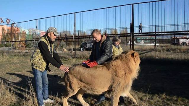 Мы едем убирать Саванну .Олежка растерялся