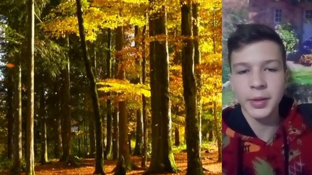 Всякому місту - звичай і права. Григорій Сковорода