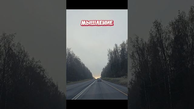 Если не изменить мышление...