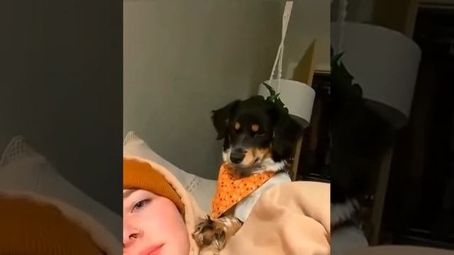 КАКИЕ НЕЖНОСТИ ...
