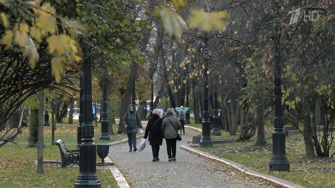 В столичном регионе 1 ноября может выпасть половина месячной нормы осадков