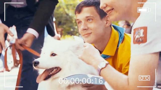 Добрые Глаза 2021 (итоги 15 лет)