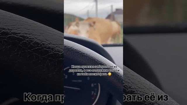 Главное чтоб отпустили…😂