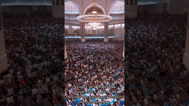 VID_20241031_233541_214.mp4