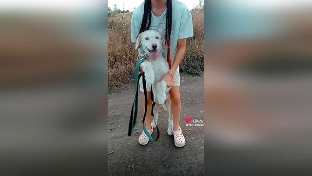 Белочка- приветики из дома 😉🤗💖👧🐕