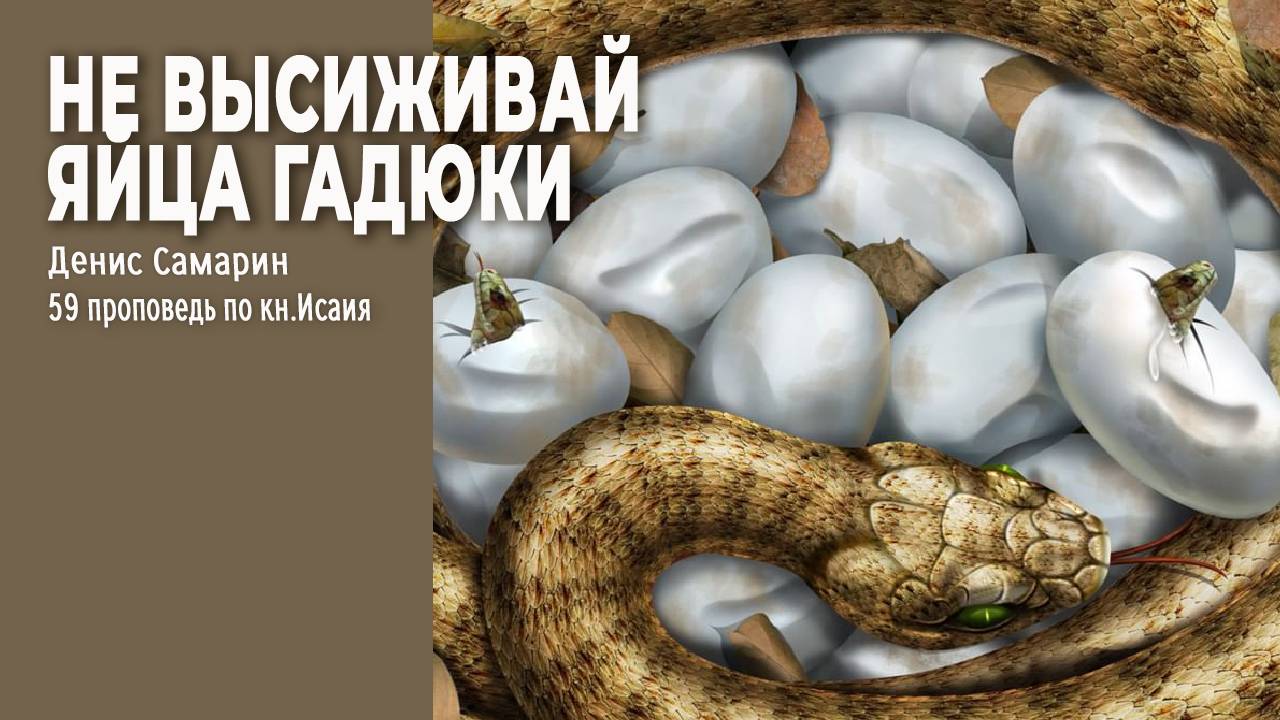 Не высиживай яйца гадюки | Денис Самарин