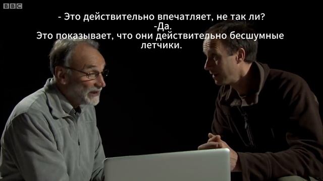 Эксперимент! Как сова летает так бесшумно?