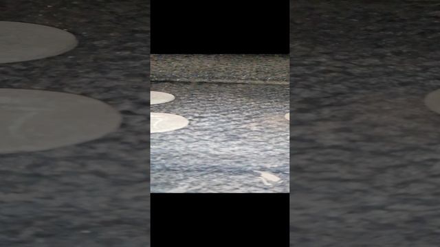 Ночной коп 4