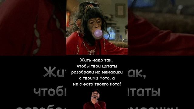 Жить надо так ✌️