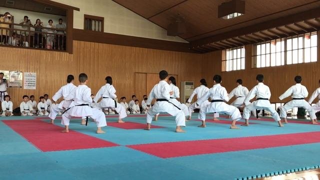 Kata Seipai - Seiwakai Japan