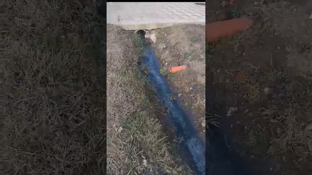Грунтовые воды. Часть 2. Осторожнее с выбором участка!