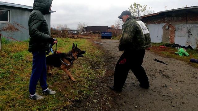 12-13 октября 2024 Тренировка в городе Бийск. В рамках норматива ЗГС.